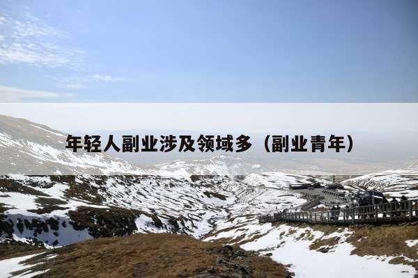 年轻人副业涉及领域多(副业青年)