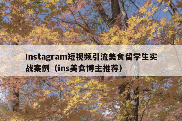 Instagram短视频引流美食留学生实战案例(ins美食博主推荐)