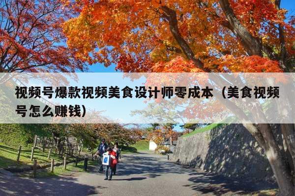 视频号爆款视频美食设计师零成本(美食视频号怎么赚钱)