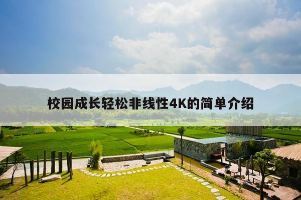 校园成长轻松非线性4K的简单介绍