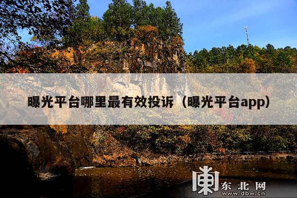 曝光平台哪里最有效投诉(曝光平台app)