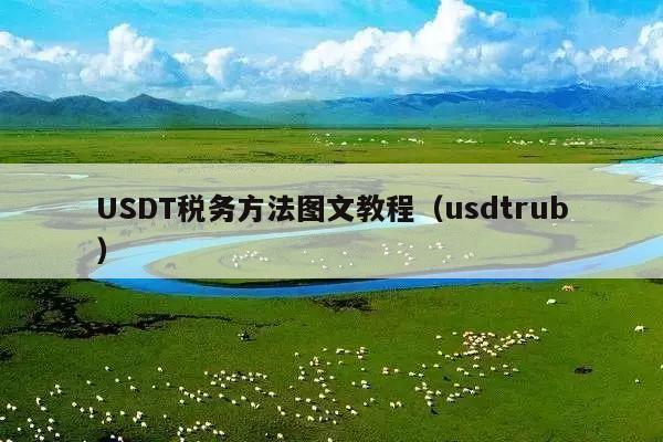 USDT税务方法图文教程(usdtrub)