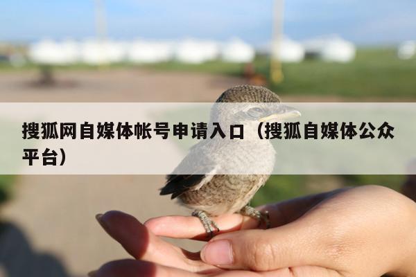 搜狐网自媒体帐号申请入口(搜狐自媒体公众平台)