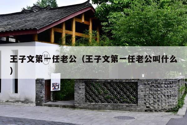 王子文第一任老公(王子文第一任老公叫什么)