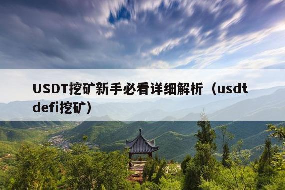 USDT挖矿新手必看详细解析(usdt defi挖矿)