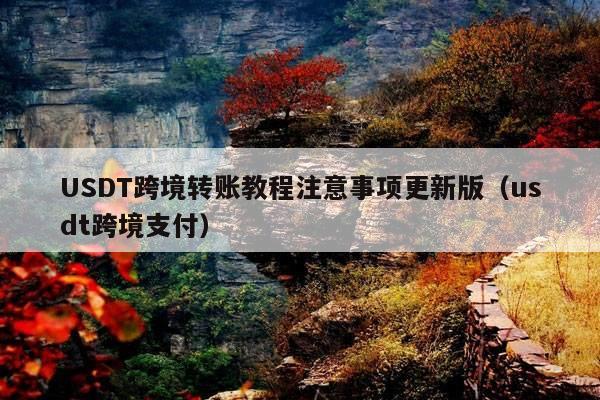 USDT跨境转账教程注意事项更新版(usdt跨境支付)