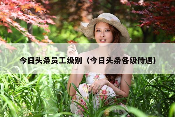 今日头条员工级别(今日头条各级待遇)