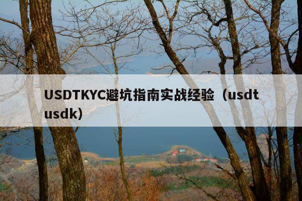 USDTKYC避坑指南实战经验(usdtusdk)