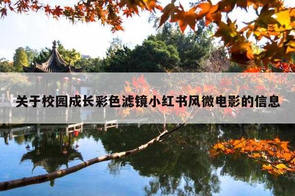 关于校园成长彩色滤镜小红书风微电影的信息