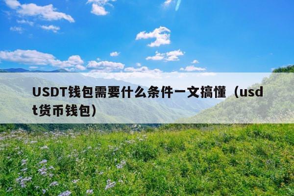 USDT钱包需要什么条件一文搞懂(usdt货币钱包)