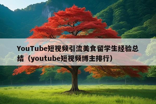 YouTube短视频引流美食留学生经验总结(youtube短视频博主排行)