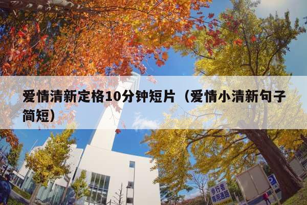爱情清新定格10分钟短片(爱情小清新句子简短)
