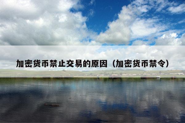 加密货币禁止交易的原因(加密货币禁令)