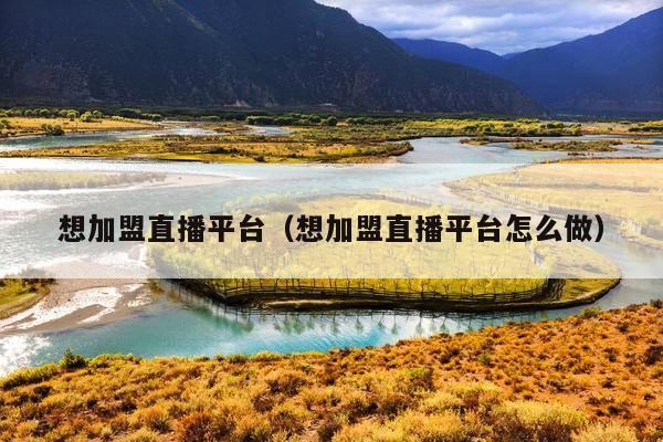 想加盟直播平台(想加盟直播平台怎么做)