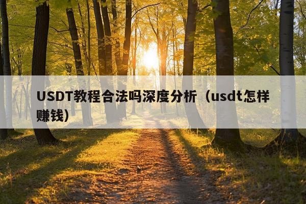 USDT教程合法吗深度分析(usdt怎样赚钱)