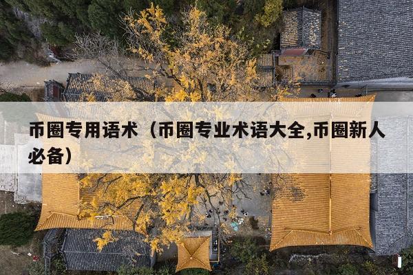 币圈专用语术(币圈专业术语大全,币圈新人必备)