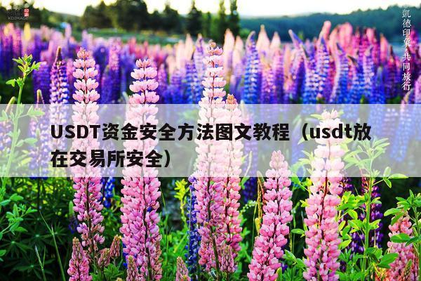 USDT资金安全方法图文教程(usdt放在交易所安全)