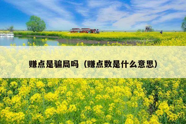 赚点是骗局吗(赚点数是什么意思)