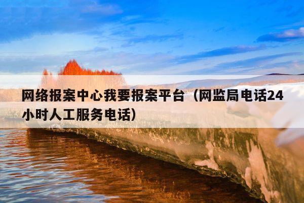 网络报案中心我要报案平台(网监局电话24小时人工服务电话)