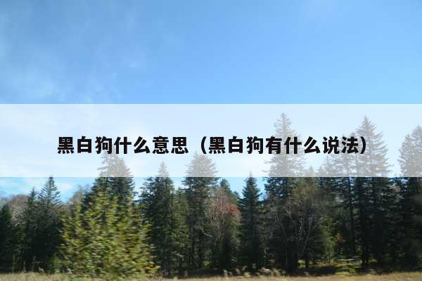 黑白狗什么意思(黑白狗有什么说法)