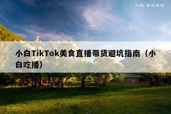 小白TikTok美食直播带货避坑指南(小白吃播)