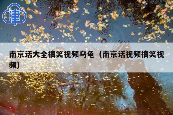 南京话大全搞笑视频乌龟(南京话视频搞笑视频)