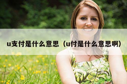 u支付是什么意思(u付是什么意思啊)