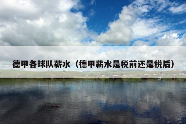 德甲各球队薪水(德甲薪水是税前还是税后)