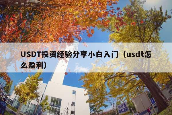 USDT投资经验分享小白入门(usdt怎么盈利)