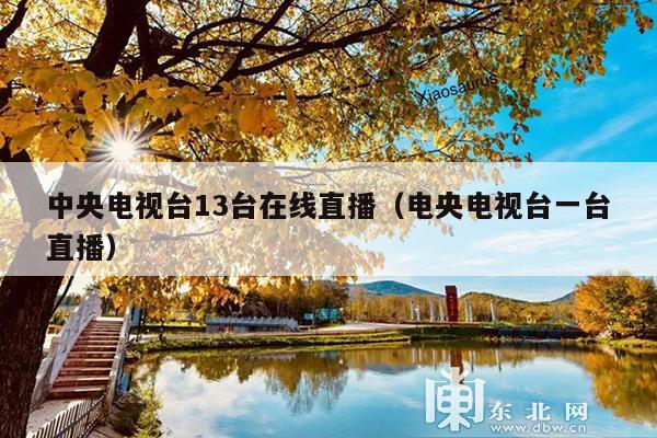 中央电视台13台在线直播(电央电视台一台直播)