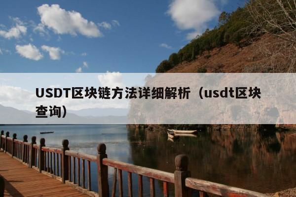 USDT区块链方法详细解析(usdt区块查询)