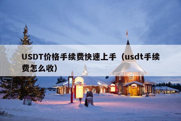 USDT价格手续费快速上手(usdt手续费怎么收)