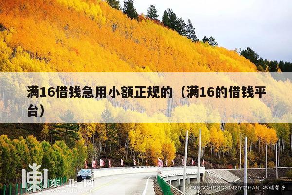 满16借钱急用小额正规的(满16的借钱平台)