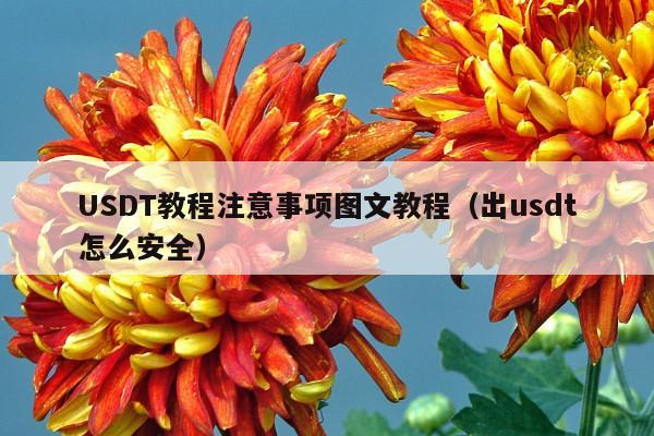 USDT教程注意事项图文教程(出usdt怎么安全)