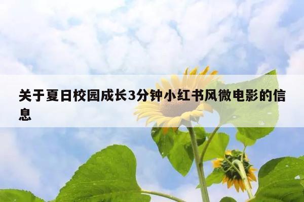 关于夏日校园成长3分钟小红书风微电影的信息