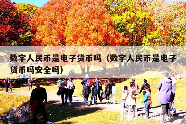 数字人民币是电子货币吗(数字人民币是电子货币吗安全吗)