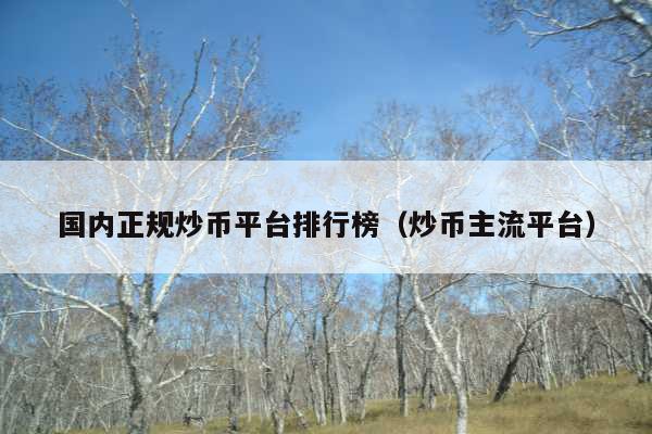 国内正规炒币平台排行榜(炒币主流平台)