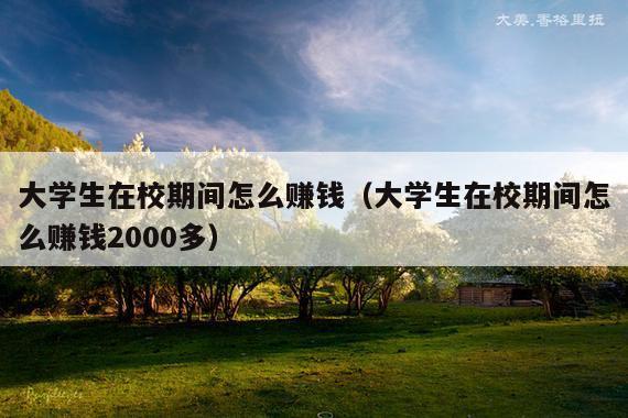 大学生在校期间怎么赚钱(大学生在校期间怎么赚钱2000多)