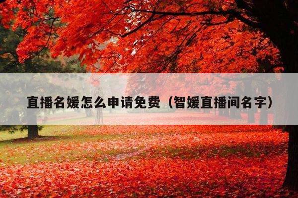直播名媛怎么申请免费(智媛直播间名字)