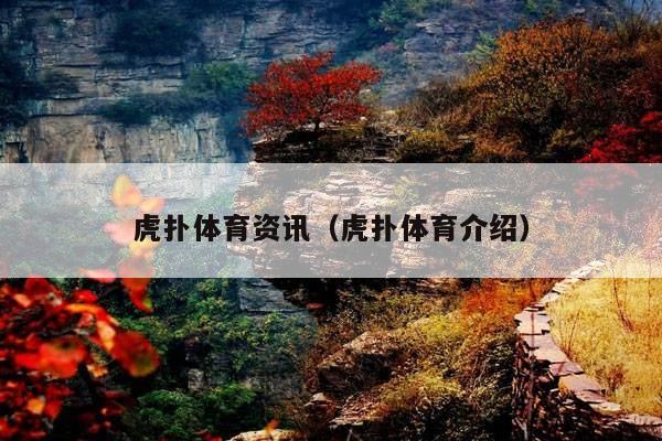 虎扑体育资讯(虎扑体育介绍)