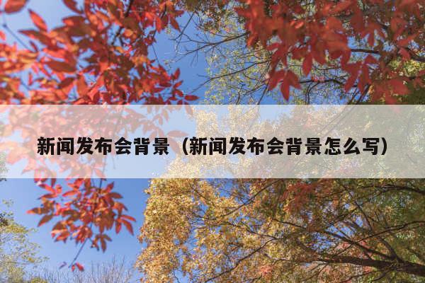 新闻发布会背景(新闻发布会背景怎么写)