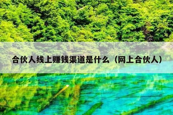 合伙人线上赚钱渠道是什么(网上合伙人)