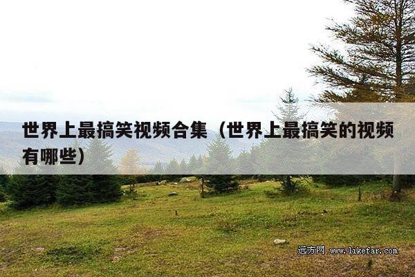 世界上最搞笑视频合集(世界上最搞笑的视频有哪些)