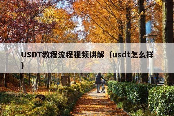 USDT教程流程视频讲解(usdt怎么样)