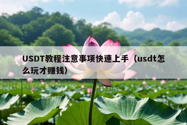 USDT教程注意事项快速上手(usdt怎么玩才赚钱)