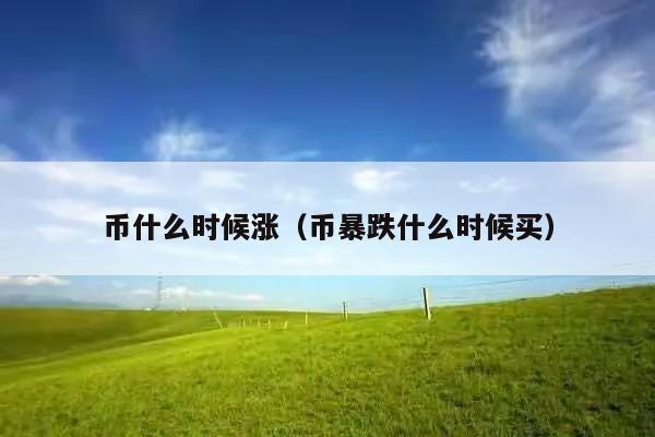币什么时候涨(币暴跌什么时候买)