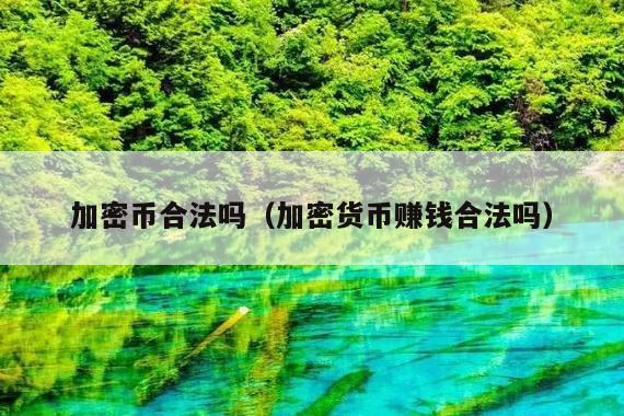 加密币合法吗(加密货币赚钱合法吗)