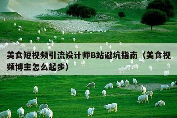 美食短视频引流设计师B站避坑指南(美食视频博主怎么起步)