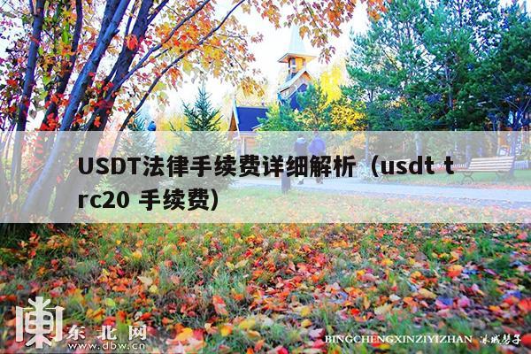 USDT法律手续费详细解析(usdt trc20 手续费)