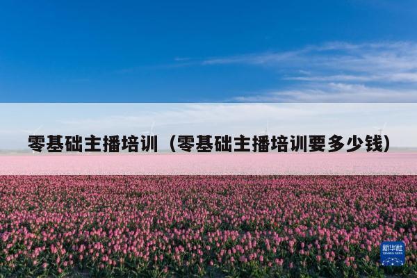 零基础主播培训(零基础主播培训要多少钱)
